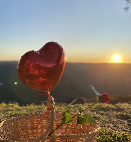 Foto 12-06-2022 17 20 36